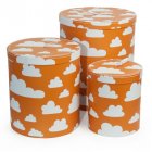  F�rvaringsboxar MOLN, orange, 3-set